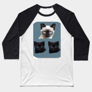 kittens Baseball T-Shirt